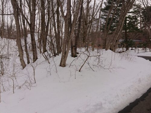 浅間ハイランド