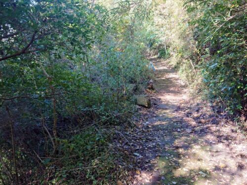 南箱根ダイヤランド