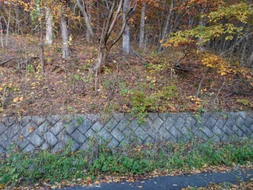 佐久みどりの村