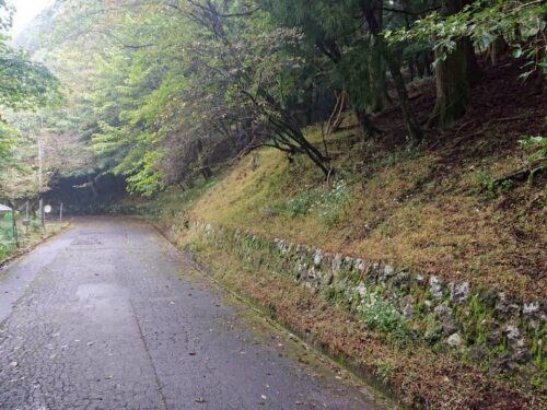 天城高原