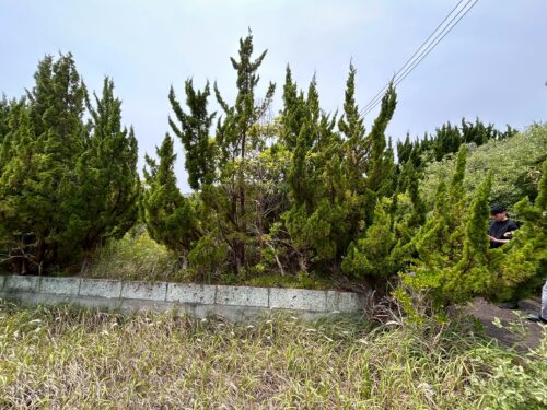 鉾田市上沢