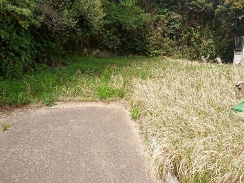 鹿嶋市大小志崎