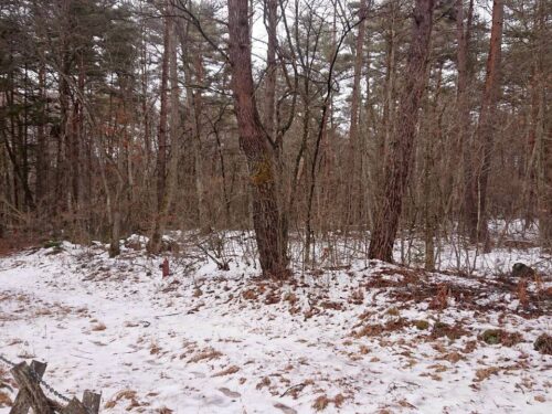 浅間ハイランド