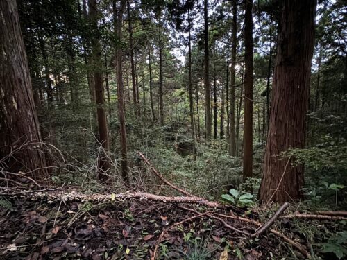 伊豆エメラルドタウン