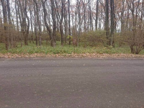 エンゼルフォレスト那須