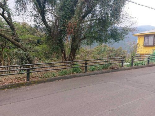 伊豆大川汐見崎コマツ