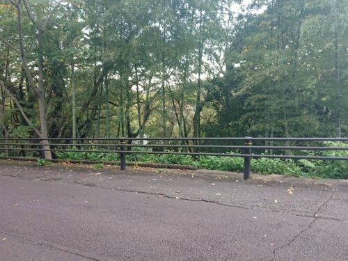 伊豆大川汐見崎コマツ