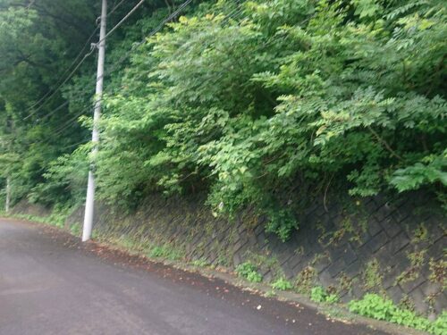 宇佐美海峰苑
