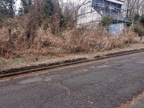 中伊豆スカイランド