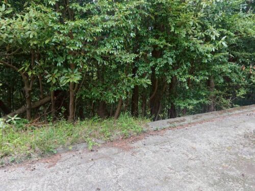 宇佐美みのりの村