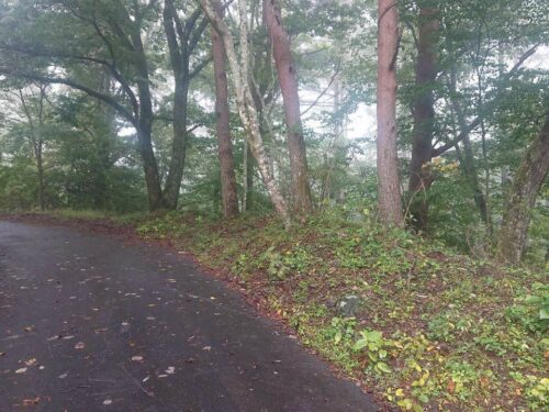 富士桜高原