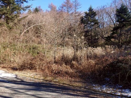 富士ドクタービレッジ