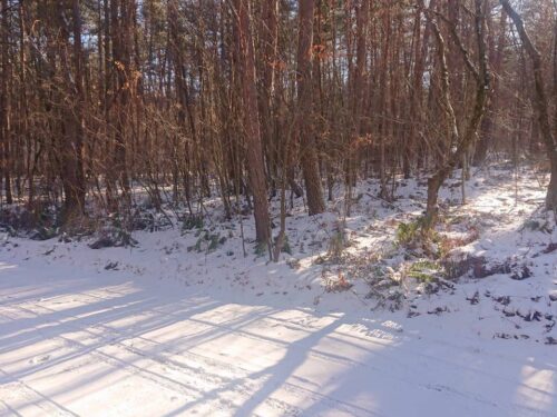 浅間ハイランドパーク