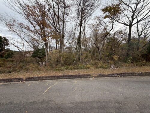 中伊豆スカイランド