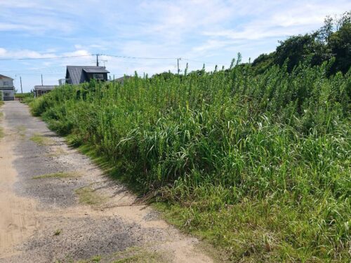 旭市野中